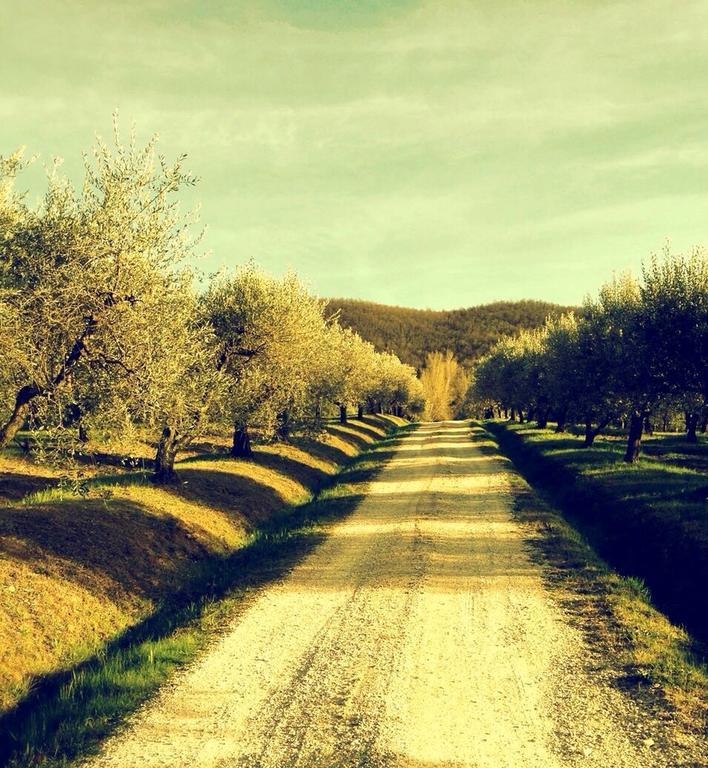 Вілла Podere Le Corone Monte Castello di Vibio Екстер'єр фото