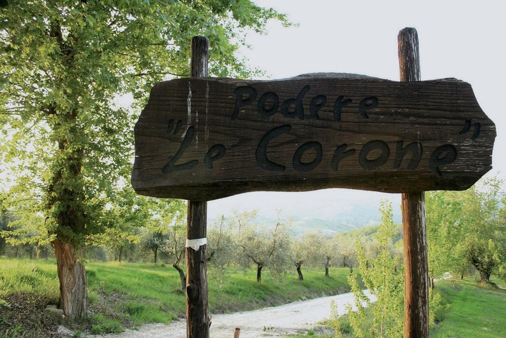 Вілла Podere Le Corone Monte Castello di Vibio Екстер'єр фото